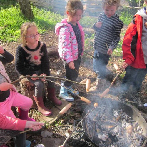 Holiday Education Programme - Teacher in the Paddock